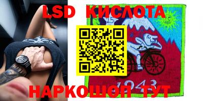 прущие крисы Камышлов