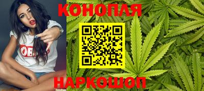 прущие крисы Камышлов