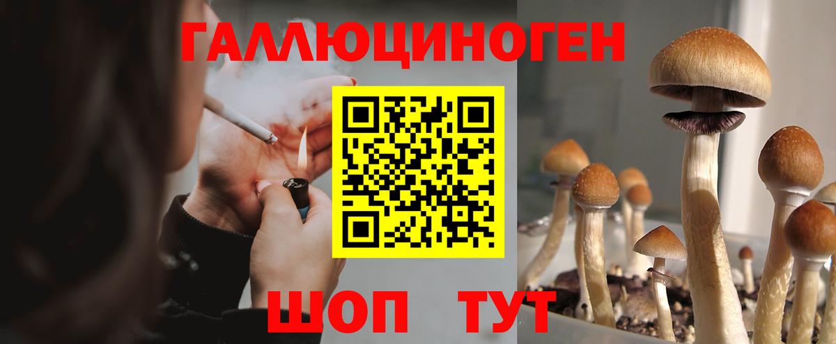 Краснокаменск  Псилоцибиновые грибы MAGIC MUSHROOMS  Вход с VPN 